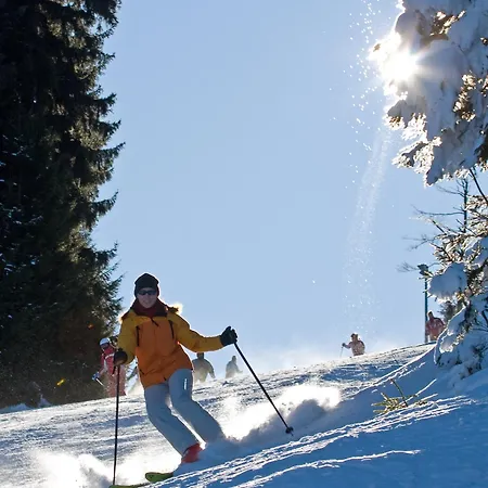 Hotel Schoenblick Hohenbogen