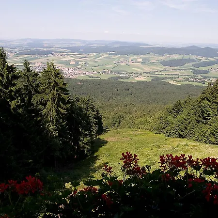Schoenblick Hohenbogen Neukirchen beim Heiligen Blut