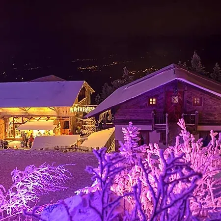 酒店 Schoenblick Hohenbogen